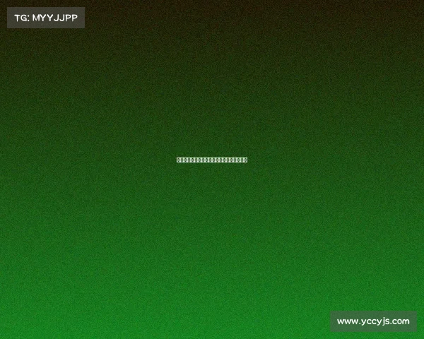 洛里昂足球盛宴激情绽放绿茵场上竞技狂欢节